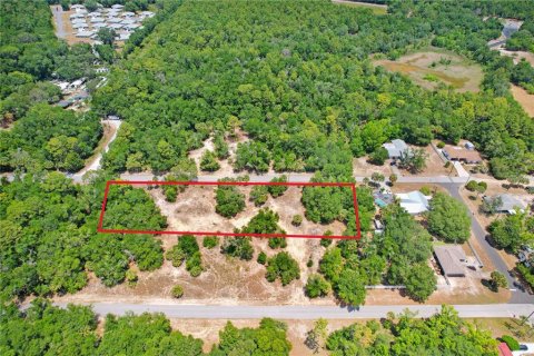 Terreno en venta en Crystal River, Florida № 1169349 - foto 3