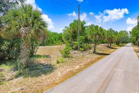 Terreno en venta en Crystal River, Florida № 1169349 - foto 16