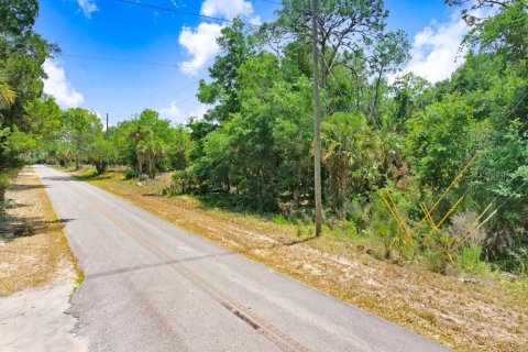 Terreno en venta en Crystal River, Florida № 1169349 - foto 15