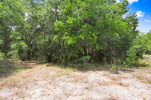 Terreno en venta en Crystal River, Florida № 1169349 - foto 20