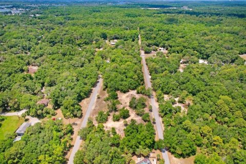 Terreno en venta en Crystal River, Florida № 1169349 - foto 11