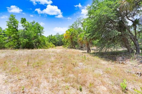 Terreno en venta en Crystal River, Florida № 1169349 - foto 18