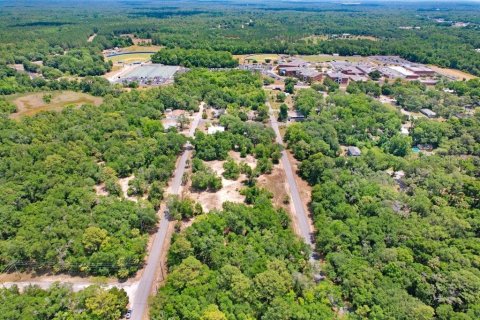 Terreno en venta en Crystal River, Florida № 1169349 - foto 5