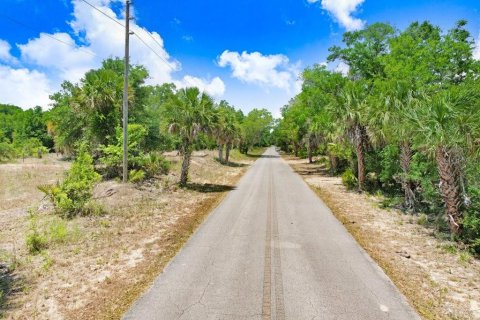 Terreno en venta en Crystal River, Florida № 1169349 - foto 17