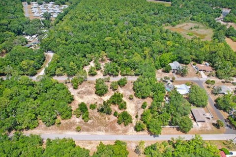 Terreno en venta en Crystal River, Florida № 1169349 - foto 7
