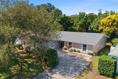 Villa ou maison à vendre à Dunedin, Floride: 3 chambres, 200.3 m2 № 2416342 - photo 2