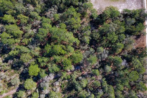 Terreno en venta en Orange City, Florida № 1757635 - foto 9