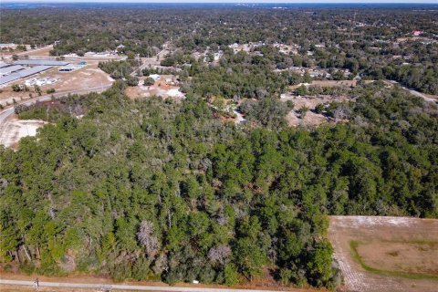 Terreno en venta en Orange City, Florida № 1757635 - foto 8
