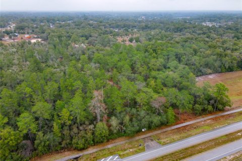 Terreno en venta en Orange City, Florida № 1757635 - foto 1