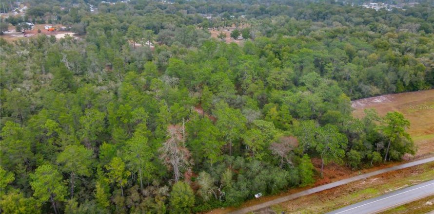 Terreno en Orange City, Florida № 1757635
