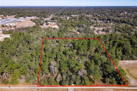 Terreno en venta en Orange City, Florida № 1757635 - foto 7
