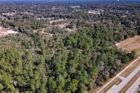 Terreno en venta en Orange City, Florida № 1757635 - foto 5