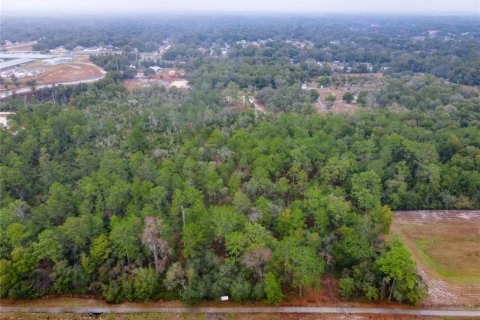 Terreno en venta en Orange City, Florida № 1757635 - foto 2