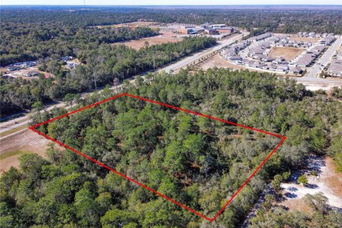 Terreno en venta en Orange City, Florida № 1757635 - foto 13