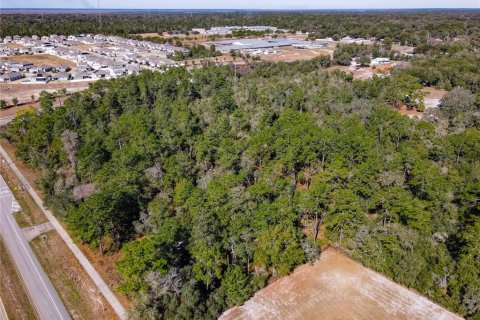 Terreno en venta en Orange City, Florida № 1757635 - foto 14