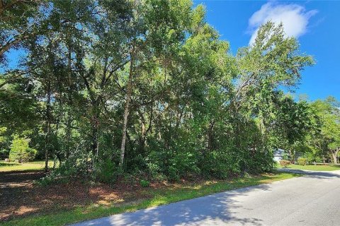 Land in Inverness, Florida № 2386132