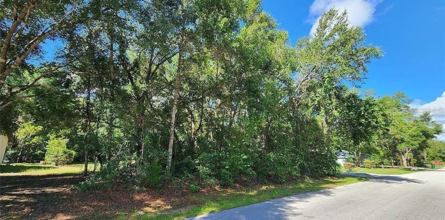 Land in Inverness, Florida № 2386132