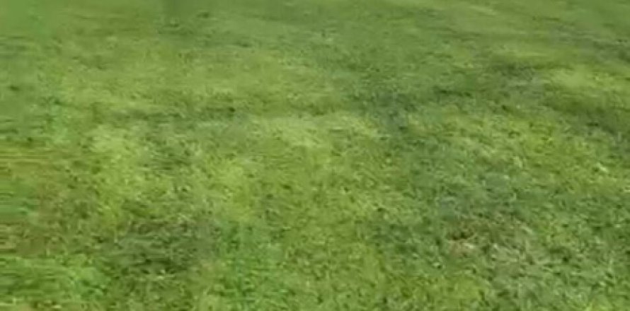 Terreno en Pahokee, Florida № 1168580