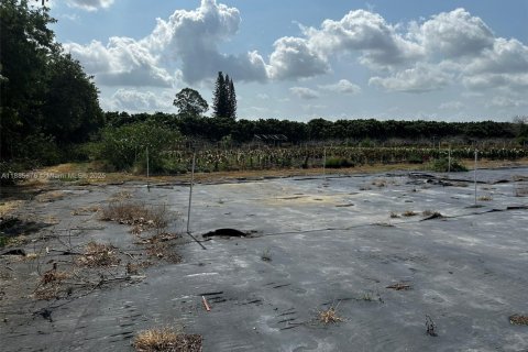 Commercial property in Homestead, Florida № 2079540 - photo 16