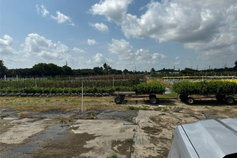 Commercial property in Homestead, Florida № 2079540 - photo 22