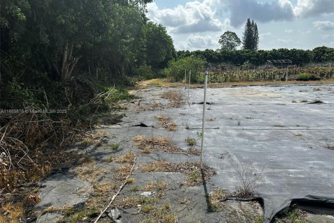 Commercial property in Homestead, Florida № 2079540 - photo 14