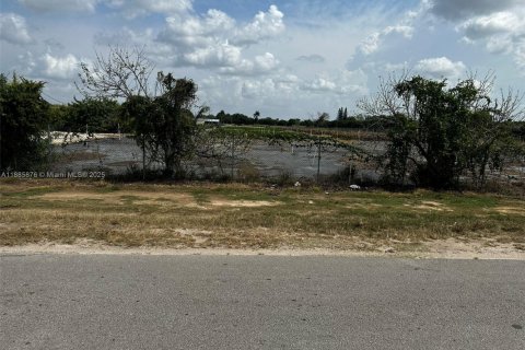 Commercial property in Homestead, Florida № 2079540 - photo 26