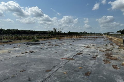 Commercial property in Homestead, Florida № 2079540 - photo 15