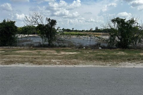 Commercial property in Homestead, Florida № 2079540 - photo 28