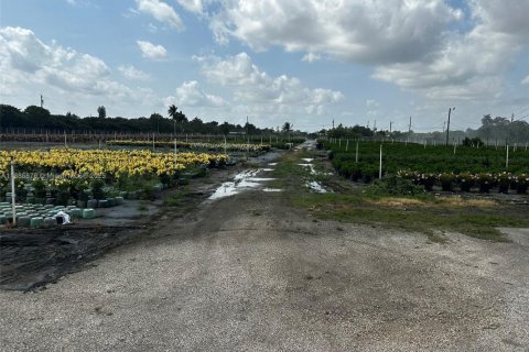 Commercial property in Homestead, Florida № 2079540 - photo 24