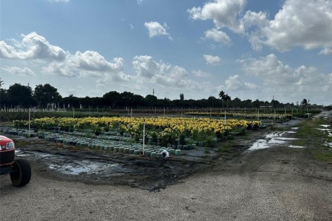 Commercial property in Homestead, Florida № 2079540 - photo 23