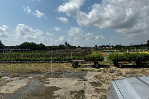 Commercial property in Homestead, Florida № 2079540 - photo 21