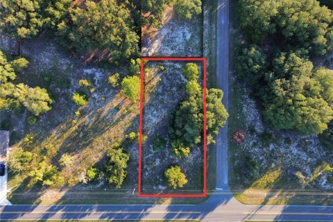 Land in Ocklawaha, Florida № 2387719 - photo 3