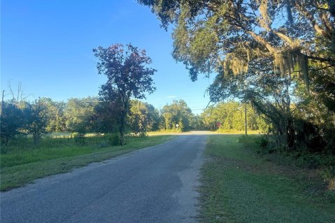 Land in Ocklawaha, Florida № 2387719 - photo 5