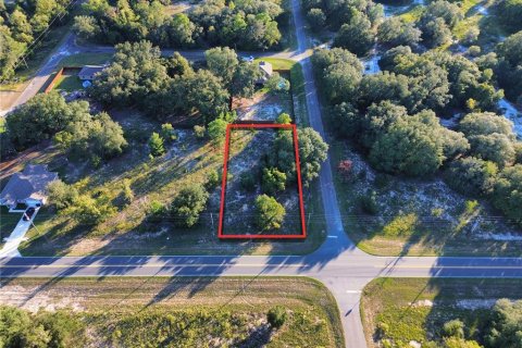 Land in Ocklawaha, Florida № 2387719 - photo 2