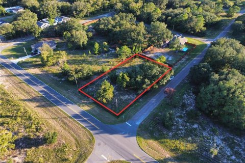 Land in Ocklawaha, Florida № 2387719