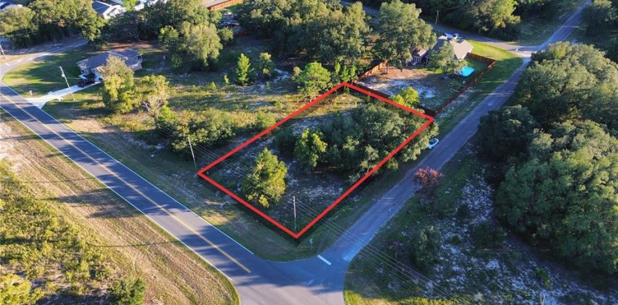 Land in Ocklawaha, Florida № 2387719