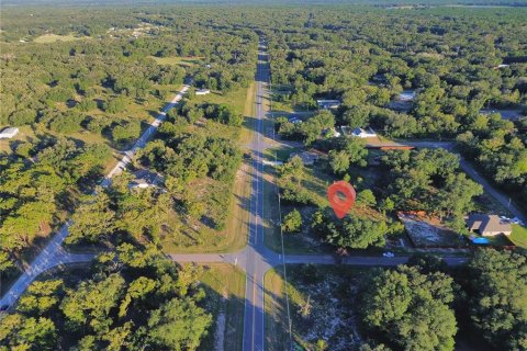 Land in Ocklawaha, Florida № 2387719 - photo 4