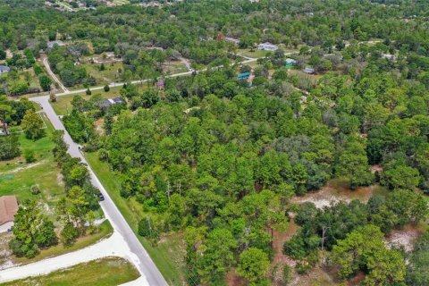 Land in Spring Hill, Florida № 1845382 - photo 11