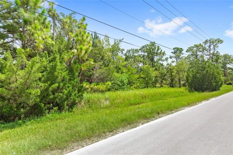 Land in Spring Hill, Florida № 1845382 - photo 4