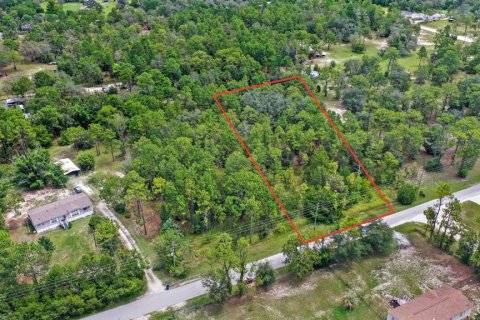 Land in Spring Hill, Florida № 1845382 - photo 2