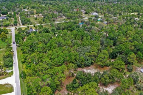 Land in Spring Hill, Florida № 1845382 - photo 9