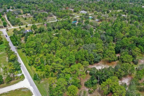 Land in Spring Hill, Florida № 1845382 - photo 8