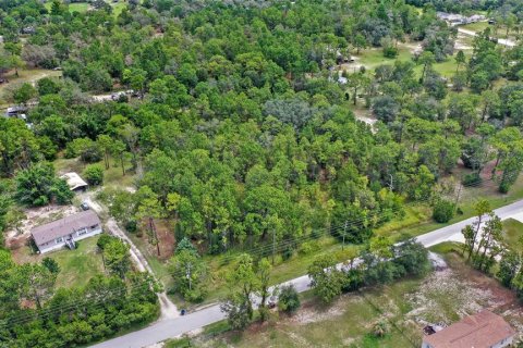 Land in Spring Hill, Florida № 1845382 - photo 5
