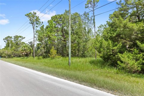 Land in Spring Hill, Florida № 1845382 - photo 3