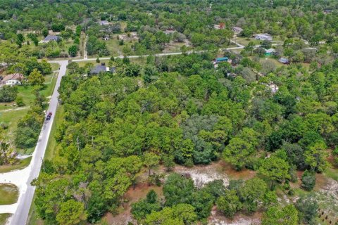 Land in Spring Hill, Florida № 1845382 - photo 10