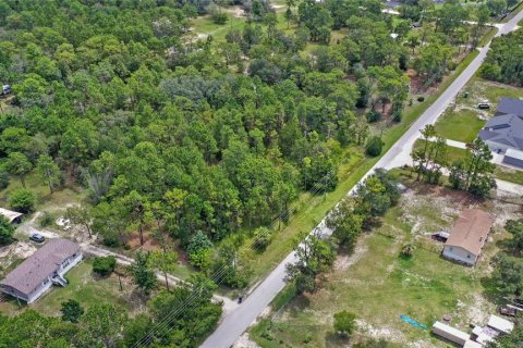 Land in Spring Hill, Florida № 1845382 - photo 12