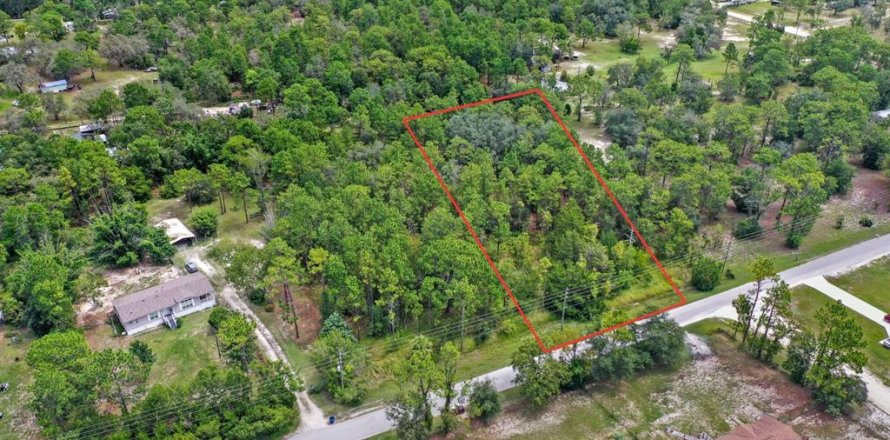 Land in Spring Hill, Florida № 1845382