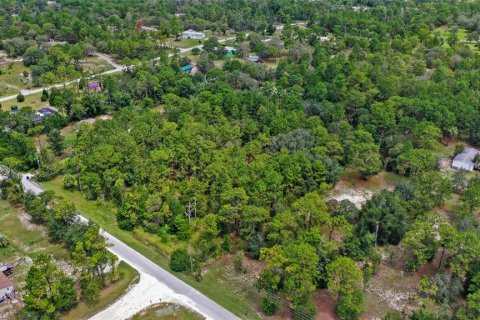 Land in Spring Hill, Florida № 1845382 - photo 7