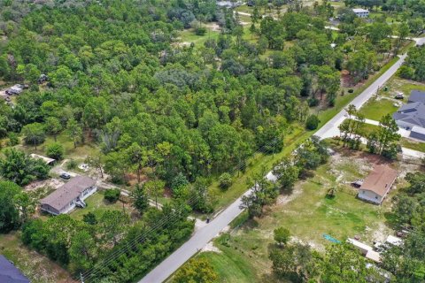 Land in Spring Hill, Florida № 1845382 - photo 13