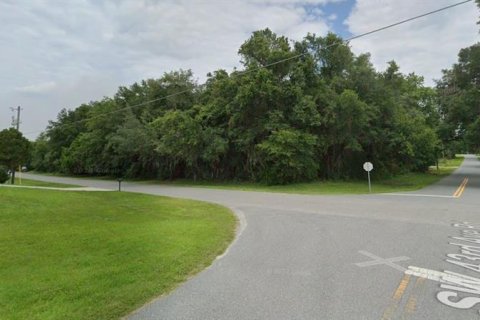 Terreno en venta en Ocala, Florida № 2165520 - foto 5